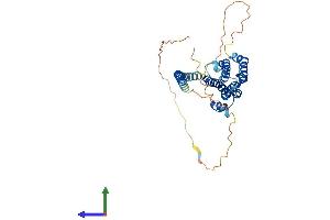 Protein Structure (PS) image for F-Box Protein 28 (FBXO28) (AA 1-368) protein (His tag) (ABIN7558677)
