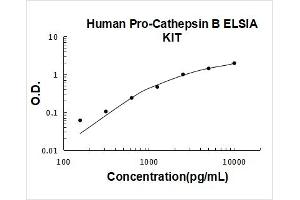 Typical Standard Curve