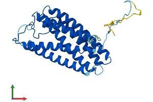 AlphaFold protein structure predicition of Human Recombinant DRAM2 Protein, UniprotID Q6UX65