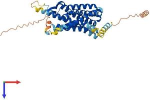 CMKLR1 Protein (AA 1-371) (His tag)
