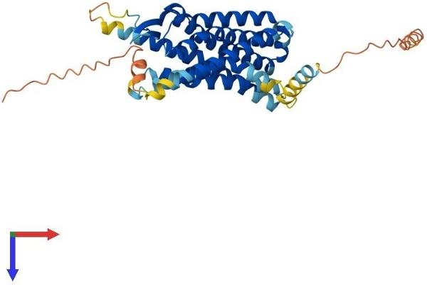 CMKLR1 Protein (AA 1-371) (His tag)