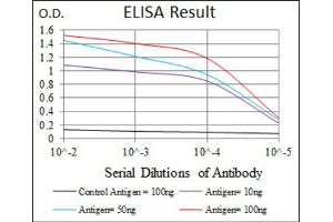 Red: Control Antigen (100ng) ; Purple: Antigen (10ng) ; Green: Antigen (50ng) ; Blue: Antigen (100ng). (TWF1 Antikörper  (AA 335-384))