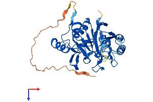 MPPED1 Protein (AA 1-326) (His tag)