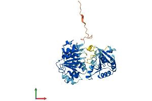 Protein Structure (PS) image for Eukaryotic Translation Initiation Factor 4A2 (EIF4A2) (AA 1-407) protein (His tag) (ABIN7548522)