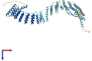 CRNKL1 Protein (AA 1-690) (His tag)