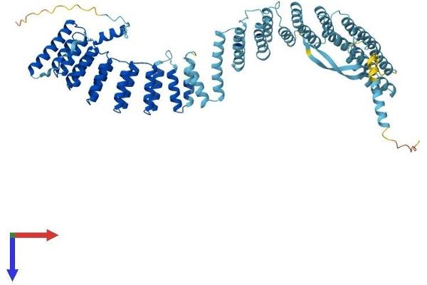 CRNKL1 Protein (AA 1-690) (His tag)