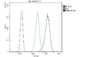 Flow Cytometry analysis of A431 cells using anti-Ran antibody (ABIN5518950). (RAN Antikörper  (AA 2-216))