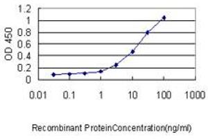 Detection limit for recombinant GST tagged TFEB is approximately 0. (TFEB Antikörper  (AA 1-476))