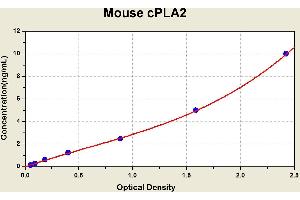 Diagramm of the ELISA kit to detect Mouse cPLA2with the optical density on the x-axis and the concentration on the y-axis. (PLA2G4A ELISA Kit)