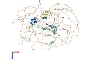 AlphaFold protein structure predicition of Mouse Recombinant Asxl2 Protein, UniprotID Q8BZ32