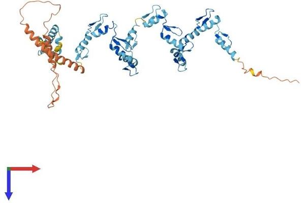 ZNF253 Protein (AA 1-499) (His tag)