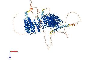 PPP4R4 Protein (AA 1-875) (His tag)