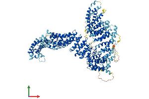 Protein Structure (PS) image for Non-SMC Condensin II Complex, Subunit G2 (NCAPG2) (AA 1-1138) protein (His tag) (ABIN7564039)