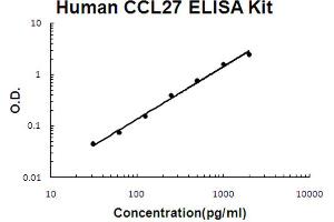 Human CCL27/CTACK Accusignal ELISA Kit Human CCL27/CTACK AccuSignal ELISA Kit standard curve. (CCL27 ELISA Kit)
