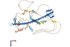 NRF2 Protein (AA 1-605) (His tag)