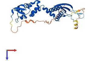 KCTD7 Protein (AA 1-289) (His tag)