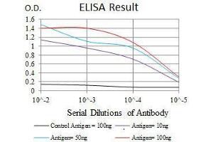 Black line: Control Antigen (100 ng), Purple line: Antigen(10 ng), Blue line: Antigen (50 ng), Red line: Antigen (100 ng), (RAP1A Antikörper)