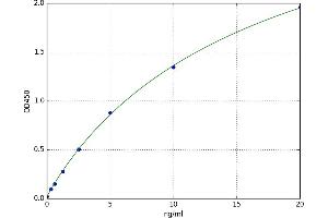 A typical standard curve
