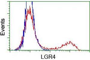 Image no. 2 for anti-Leucine-Rich Repeat Containing G Protein-Coupled Receptor 4 (LGR4) (AA 230-540) antibody (ABIN1491239) (LGR4 Antikörper  (AA 230-540))
