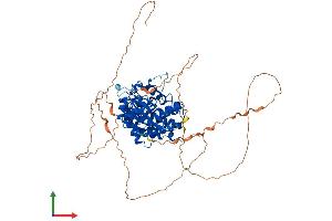 AlphaFold protein structure predicition of Mouse Recombinant Dyrk4 Protein, UniprotID Q8BI55