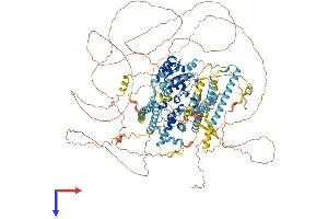 ERCC5 Protein (AA 1-1186) (His tag)