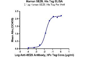 ELISA image for Seizure Related 6 Homolog (SEZ6) (AA 20-925) protein (His tag) (ABIN7275572)