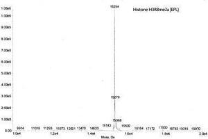 Mass Spectrometry (MS) image for Histone 3 (H3) (H3R8me2a) protein (ABIN2669564) (Histone 3 Protein (H3) (H3R8me2a))