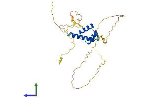Protein Structure (PS) image for Distal-Less Homeobox Protein 1 (DLX1) (AA 1-255) protein (His tag) (ABIN7557823)