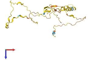 CDIP1 Protein (AA 1-208) (His tag)