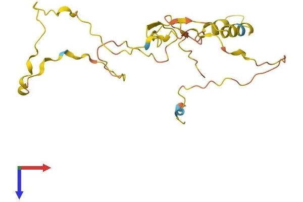 CDIP1 Protein (AA 1-208) (His tag)