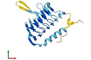 Protein Structure (PS) image for Dynactin 5 (p25) (DCTN5) (AA 1-182) protein (His tag) (ABIN7561821)