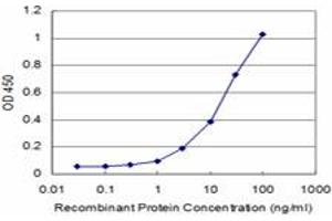 Detection limit for recombinant GST tagged PRKRIP1 is approximately 3ng/ml as a capture antibody. (PRKRIP1 Antikörper  (AA 1-184))