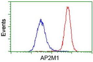Flow cytometric Analysis of Hela cells, using anti-AP2M1 antibody (ABIN2454660), (Red), compared to a nonspecific negative control antibody, (Blue). (AP2M1 Antikörper  (AA 97-383))