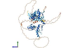 AlphaFold protein structure predicition of Mouse Recombinant Mynn Protein, UniprotID Q99MD8 (Myoneurin Protein (MYNN) (AA 1-610) (His tag))