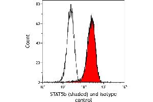 Flow Cytometry (FACS) image for anti-Signal Transducer and Activator of Transcription 5B (STAT5B) (AA 737-787) antibody (ABIN7455110) (Rekombinanter STAT5B Antikörper  (AA 737-787))