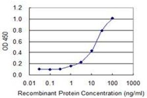 Detection limit for recombinant GST tagged ADAMTS4 is 0.