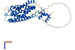 LASS5 Protein (AA 1-414) (His tag)