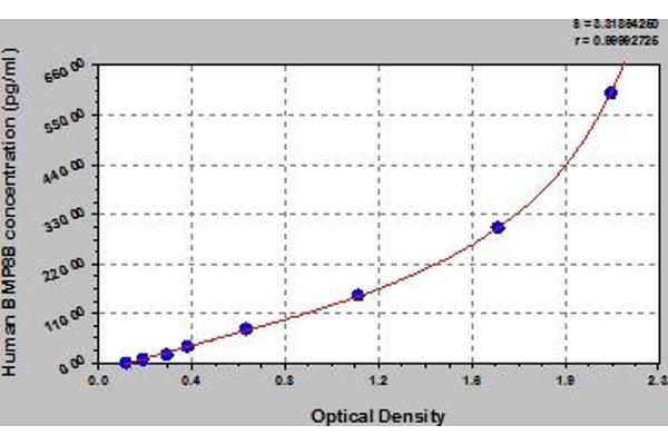BMP8B ELISA Kit