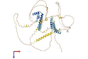 HMGXB4 Protein (AA 1-601) (His tag)