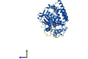 Protein Structure (PS) image for SET and MYND Domain Containing 1 (SMYD1) (AA 1-490) protein (His tag) (ABIN7556808)