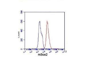 Flow Cytometry analysis of F9 cells stained with Sox2 (red, 1/100 dilution), followed by FITC-conjugated goat anti-mouse IgG. (SOX2 Antikörper)