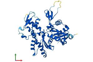 Protein Structure (PS) image for Actin-Related Protein T2 (ACTRT2) (AA 1-377) protein (His tag) (ABIN7561175)