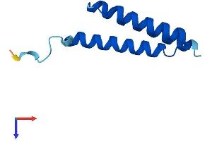 LYRM2 Protein (AA 1-88) (His tag)