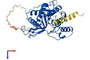 B3GALT1 Protein (AA 1-326) (His tag)