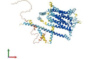 Protein Structure (PS) image for Transmembrane Channel-Like 4 (Tmc4) (AA 1-712) protein (His tag) (ABIN7544488)