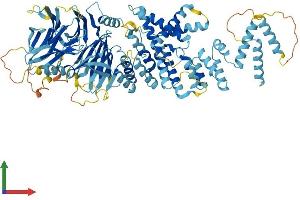 Protein Structure (PS) image for Pigeon Homolog (PION) (AA 1-854) protein (His tag) (ABIN7554045)