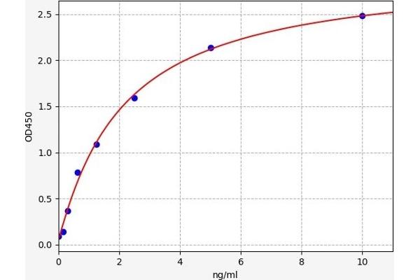 Nanog ELISA Kit