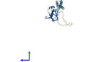 Protein Structure (PS) image for Tubulin Folding Cofactor C (TBCC) (AA 1-346) protein (His tag) (ABIN7544358)