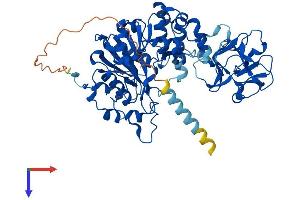 GALNT2 Protein (AA 1-571) (His tag)