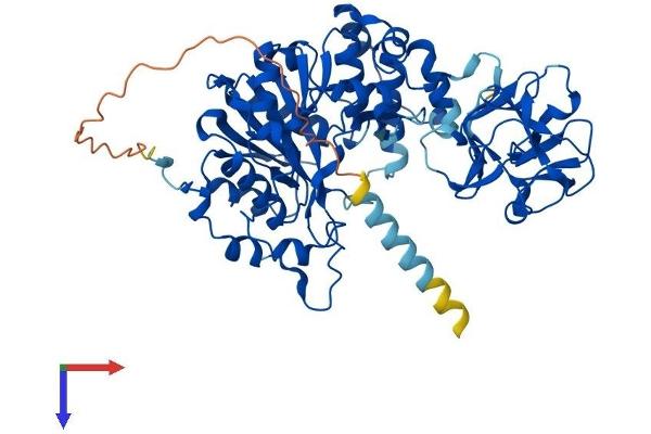 GALNT2 Protein (AA 1-571) (His tag)